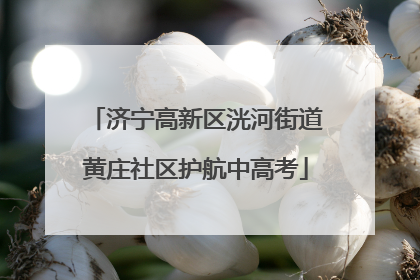 济宁高新区洸河街道黄庄社区护航中高考